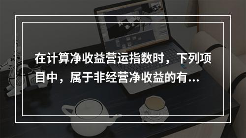 在计算净收益营运指数时，下列项目中，属于非经营净收益的有()