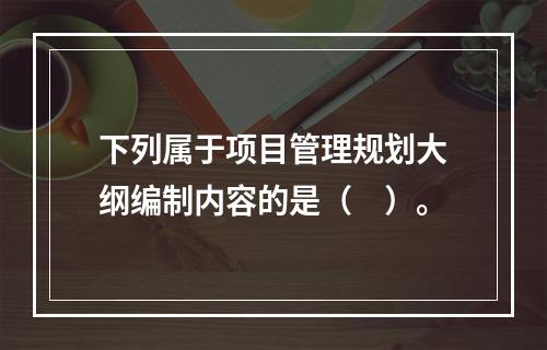 下列属于项目管理规划大纲编制内容的是（　）。