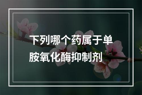 下列哪个药属于单胺氧化酶抑制剂