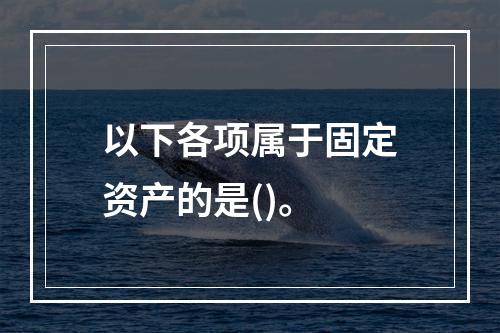 以下各项属于固定资产的是()。