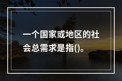 一个国家或地区的社会总需求是指()。