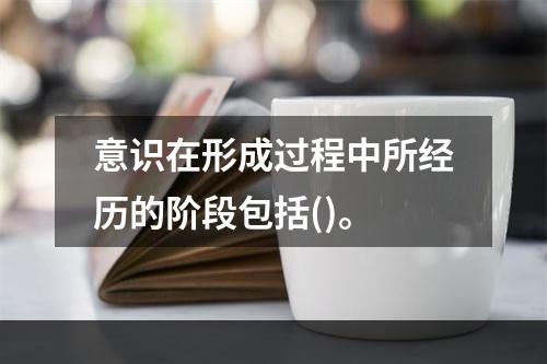 意识在形成过程中所经历的阶段包括()。