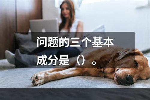 问题的三个基本成分是（）。