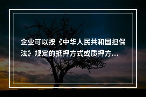 企业可以按《中华人民共和国担保法》规定的抵押方式或质押方式向