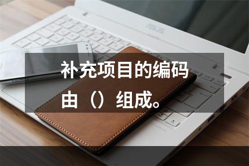 补充项目的编码由（）组成。