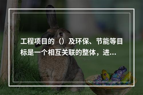 工程项目的（）及环保、节能等目标是一个相互关联的整体，进行工