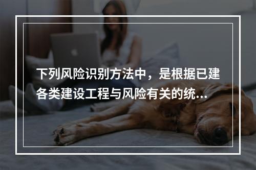 下列风险识别方法中，是根据已建各类建设工程与风险有关的统计