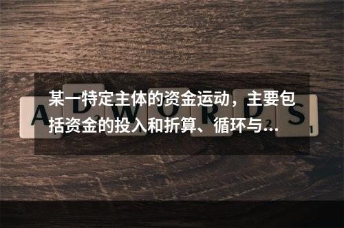 某一特定主体的资金运动，主要包括资金的投入和折算、循环与收回