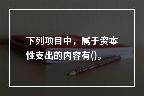 下列项目中，属于资本性支出的内容有()。