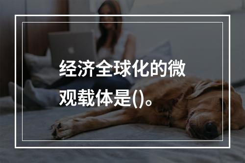 经济全球化的微观载体是()。