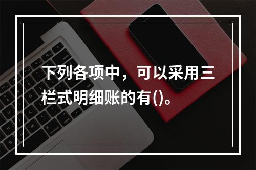 下列各项中，可以采用三栏式明细账的有()。