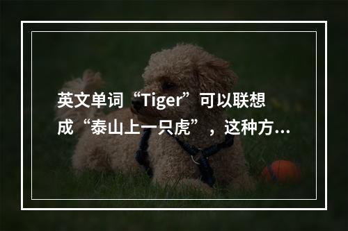 英文单词“Tiger”可以联想成“泰山上一只虎”，这种方法叫