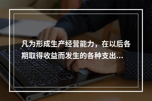 凡为形成生产经营能力，在以后各期取得收益而发生的各种支出，即