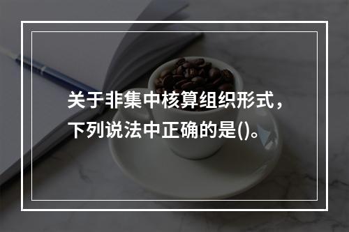 关于非集中核算组织形式，下列说法中正确的是()。