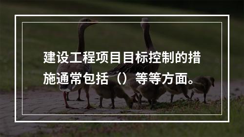 建设工程项目目标控制的措施通常包括（）等等方面。