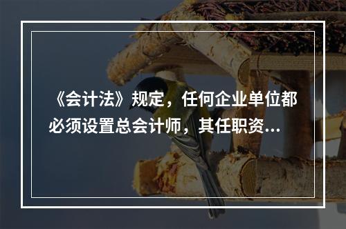 《会计法》规定，任何企业单位都必须设置总会计师，其任职资格、