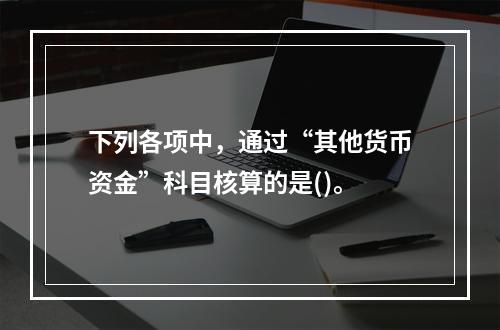 下列各项中，通过“其他货币资金”科目核算的是()。