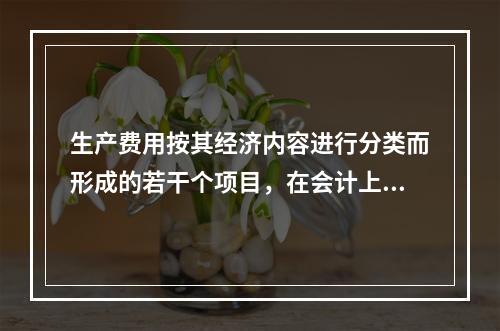 生产费用按其经济内容进行分类而形成的若干个项目，在会计上称为