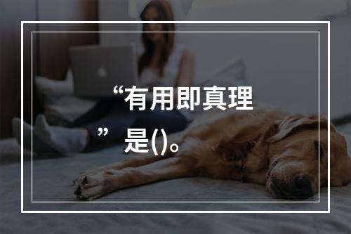 “有用即真理”是()。