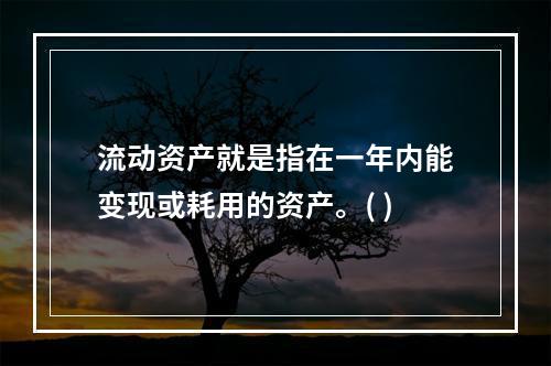 流动资产就是指在一年内能变现或耗用的资产。( )