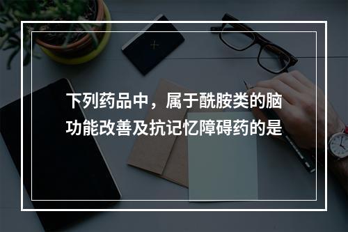 下列药品中，属于酰胺类的脑功能改善及抗记忆障碍药的是