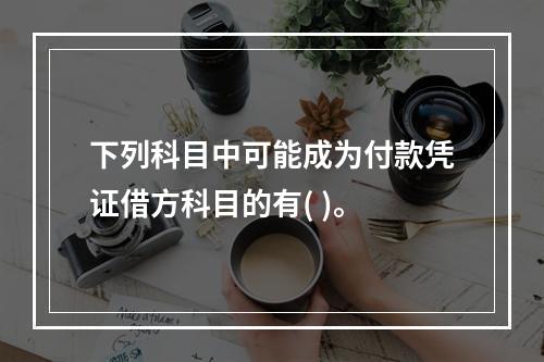 下列科目中可能成为付款凭证借方科目的有( )。