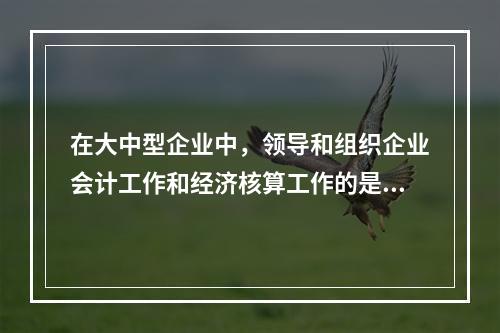 在大中型企业中，领导和组织企业会计工作和经济核算工作的是()