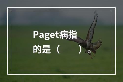 Paget病指的是（　　）。