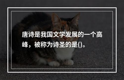 唐诗是我国文学发展的一个高峰，被称为诗圣的是()。