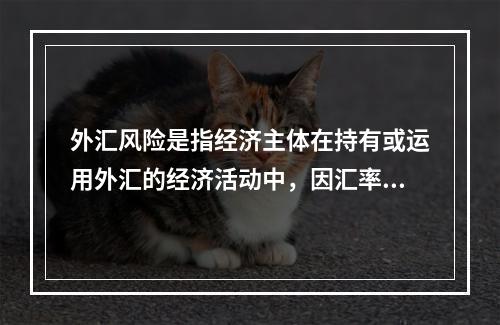 外汇风险是指经济主体在持有或运用外汇的经济活动中，因汇率变动