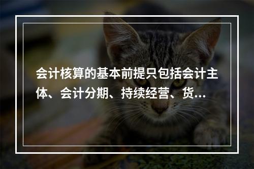 会计核算的基本前提只包括会计主体、会计分期、持续经营、货币计