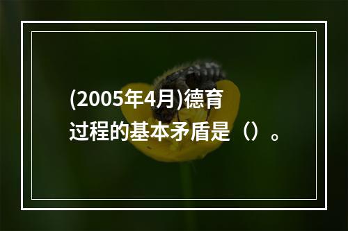 (2005年4月)德育过程的基本矛盾是（）。