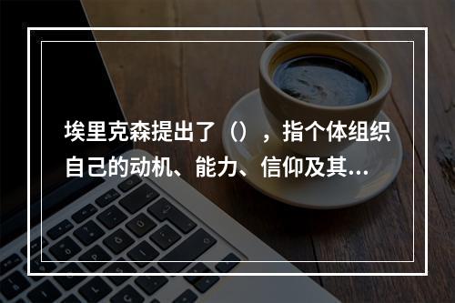 埃里克森提出了（），指个体组织自己的动机、能力、信仰及其活动