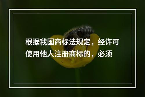 根据我国商标法规定，经许可使用他人注册商标的，必须