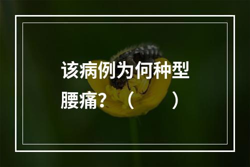 该病例为何种型腰痛？（　　）