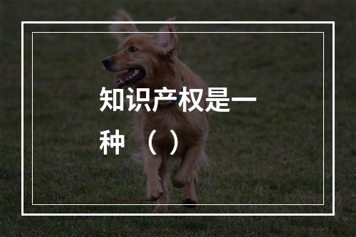 知识产权是一种 （  ）