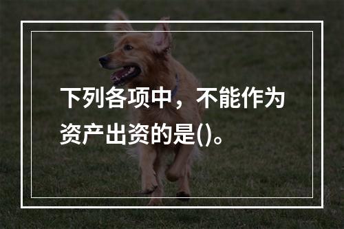 下列各项中，不能作为资产出资的是()。