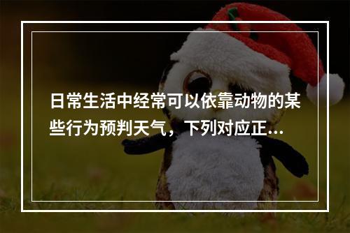 日常生活中经常可以依靠动物的某些行为预判天气，下列对应正确的