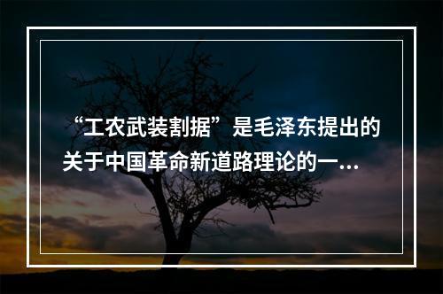 “工农武装割据”是毛泽东提出的关于中国革命新道路理论的一个科