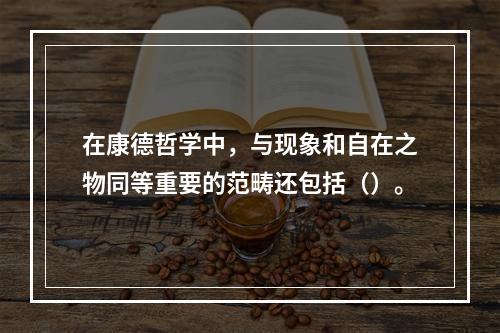 在康德哲学中，与现象和自在之物同等重要的范畴还包括（）。