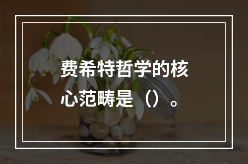 费希特哲学的核心范畴是（）。