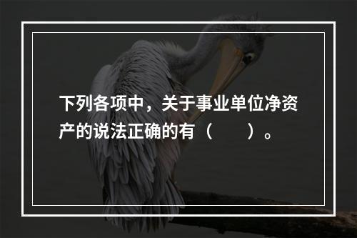 下列各项中，关于事业单位净资产的说法正确的有（　　）。