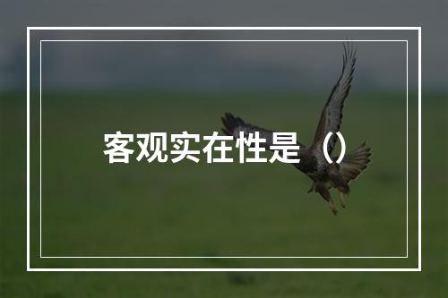 客观实在性是（）