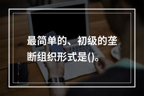 最简单的、初级的垄断组织形式是()。