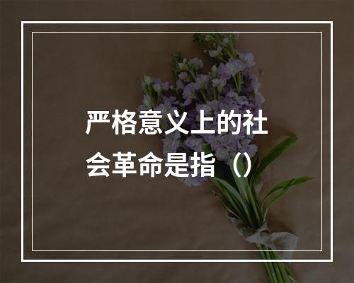 严格意义上的社会革命是指（）