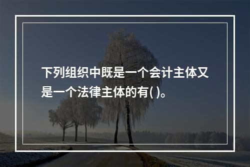 下列组织中既是一个会计主体又是一个法律主体的有( )。