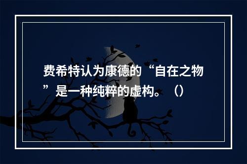 费希特认为康德的“自在之物”是一种纯粹的虚构。（）