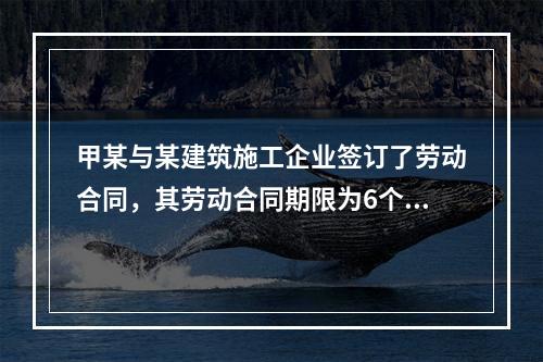 甲某与某建筑施工企业签订了劳动合同，其劳动合同期限为6个月，