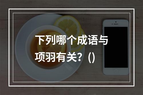 下列哪个成语与项羽有关？()