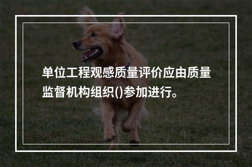 单位工程观感质量评价应由质量监督机构组织()参加进行。